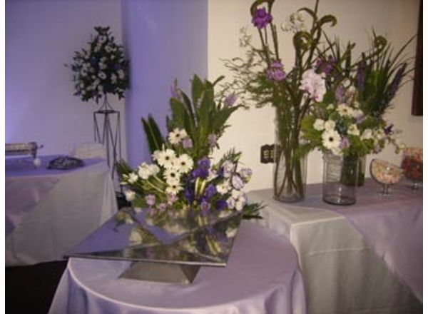 Galeria de Fotos: Eventos : Flores  na Grande São Paulo 