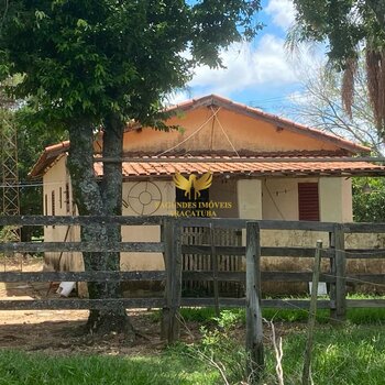 FAZENDA  243  INOCENCIA 