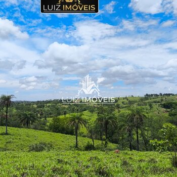 Vendo Fazenda 980hectares Dupla Aptidão em Patos de Minas MG