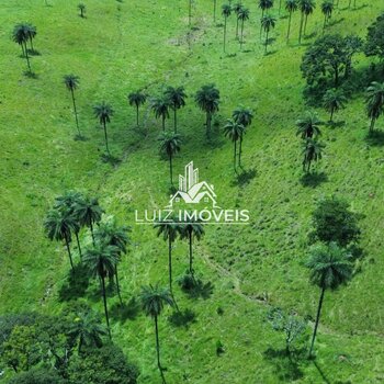 Vendo Fazenda Cultura 22hectares São Gotardo MG 6km do Asfalto