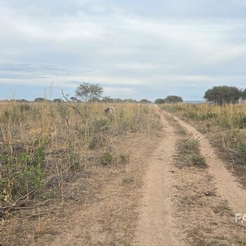 FAZENDA ANGICAL 