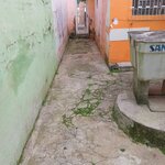 Imagem 21 de 29